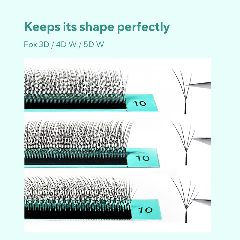 DIYDAY フォクシー W型 3D 4D 5D まつげエク - Eyelash Extension Volume Cat Eye のレビューと価格