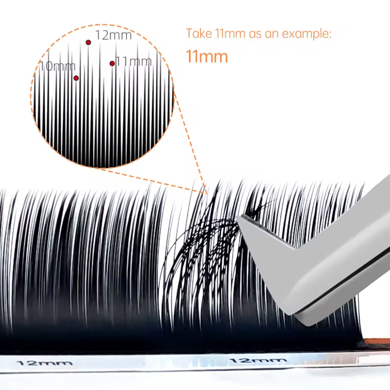 ドリームバレエ カメリア ラッシュ ウィズ アドヘシブ LC - Eyelash Extension Double Lash のレビューと価格