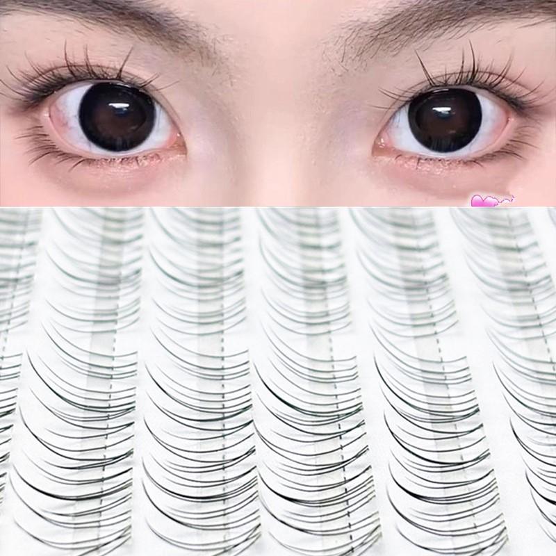 フォックスアイウィスピークラスターラッシュエクステンションナ - Eyelash Extension Fox Eye のレビューと価格